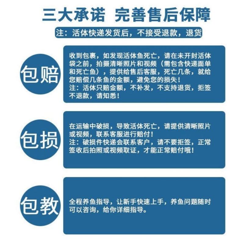 杂交黄骨鱼苗全雄黄辣丁苗黄颡鱼苗黄鸭叫昂刺鱼苗优质快大种