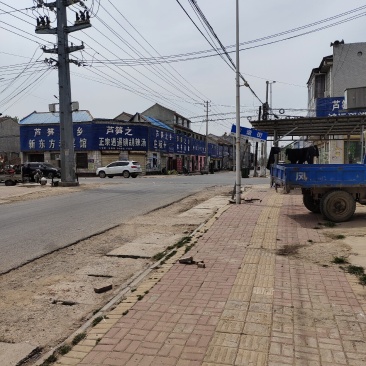 商丘芦笋之乡原产地直销，欢迎各位意向老板咨询、购货！