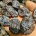 新疆喀什西梅干，包邮，天然，没有添加加工，自然晒干