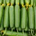 寿光水果黄瓜，荷兰水果小黄瓜