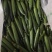 寿光水果黄瓜，荷兰水果小黄瓜