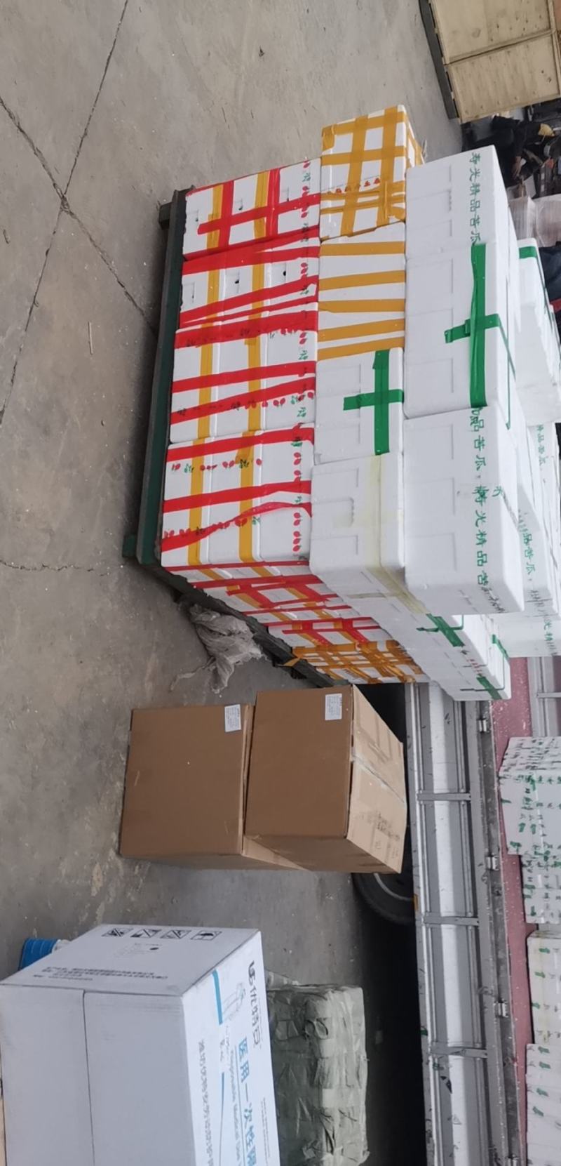寿光水果黄瓜，荷兰水果小黄瓜
