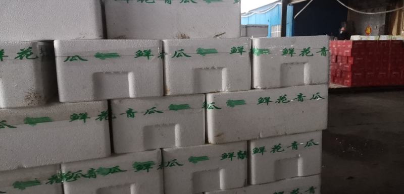 寿光水果黄瓜，荷兰水果小黄瓜