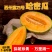 新疆哈密瓜西州蜜25，整车代发，一件代发，落地配