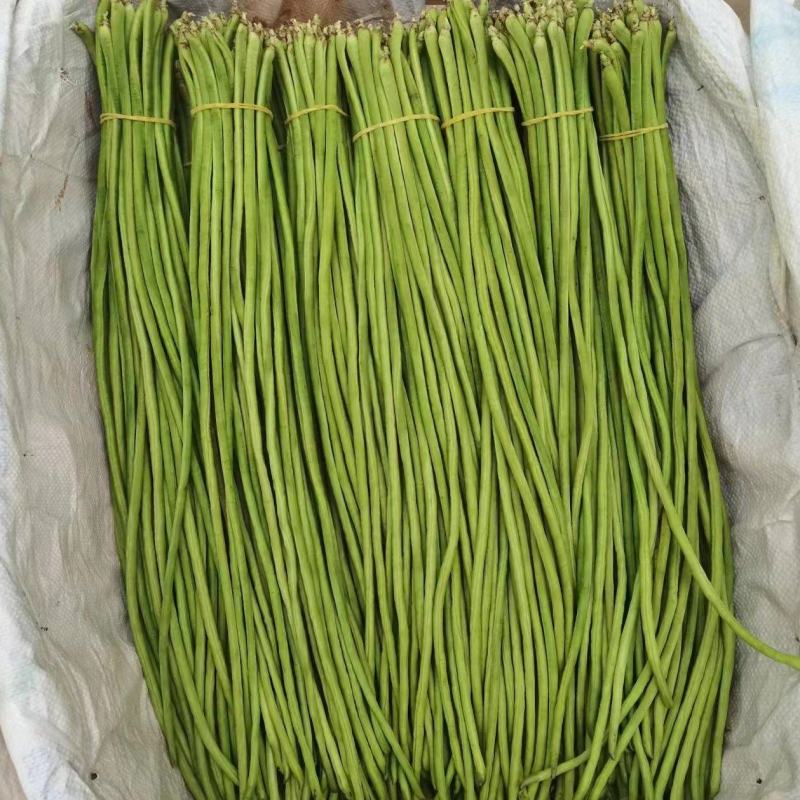 豇豆大量上市有需要的老板联系