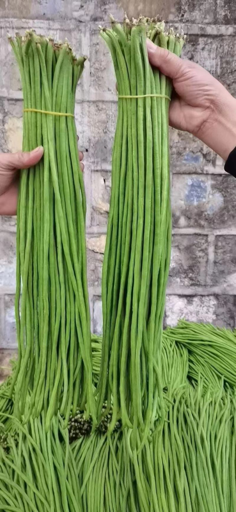 豇豆大量上市有需要的老板联系