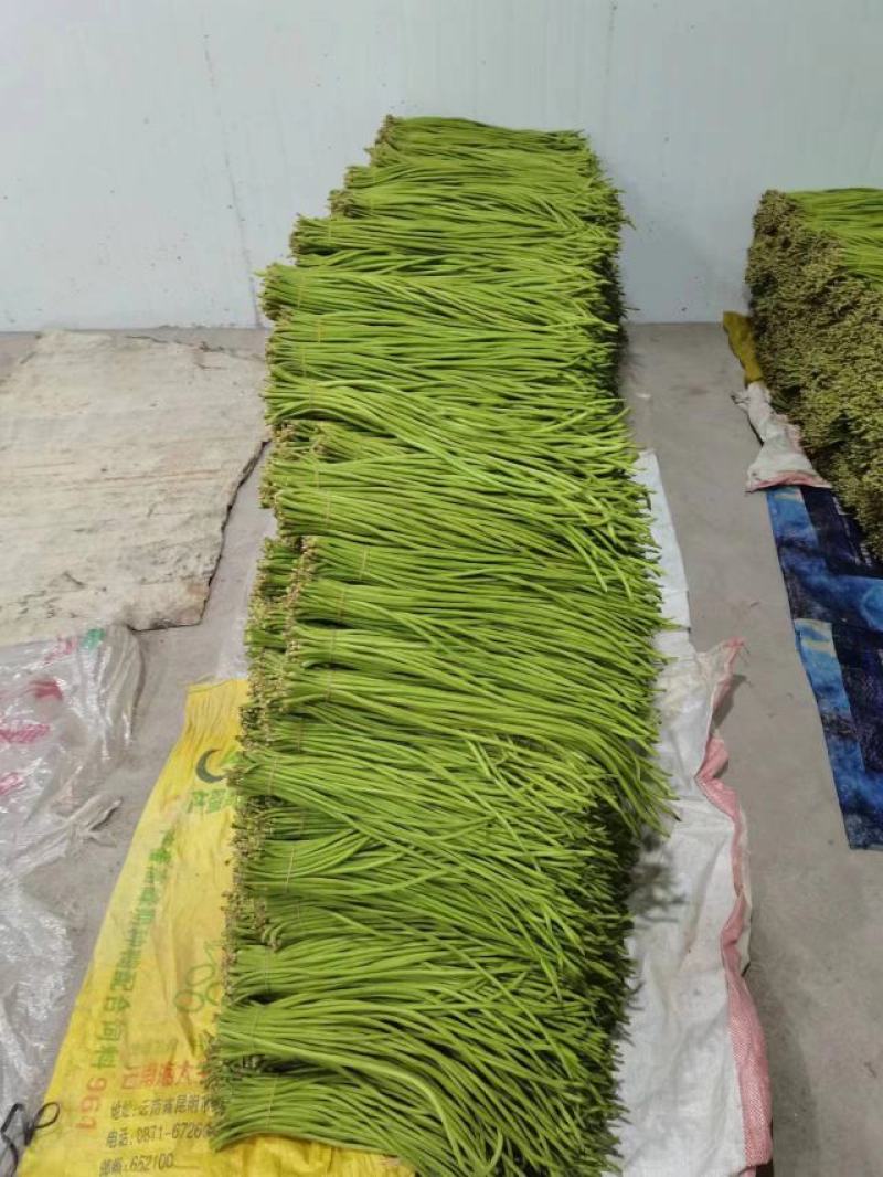 豇豆大量上市有需要的老板联系