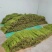 豇豆大量上市有需要的老板联系