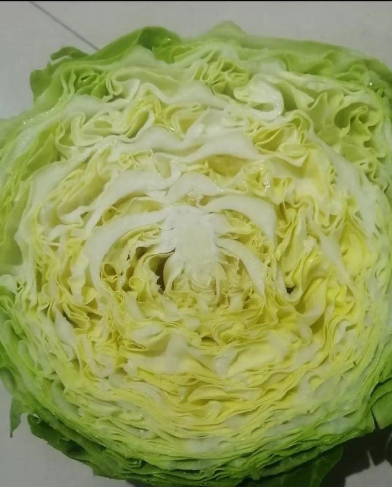 韩绿黄心甘蓝