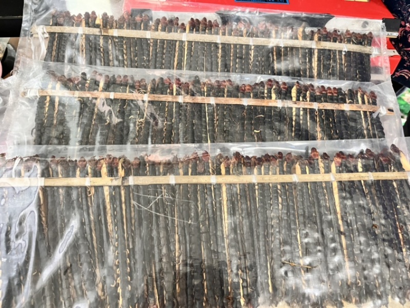 蜈蚣17到18公分大小均匀个头肥实物拍摄颜色好