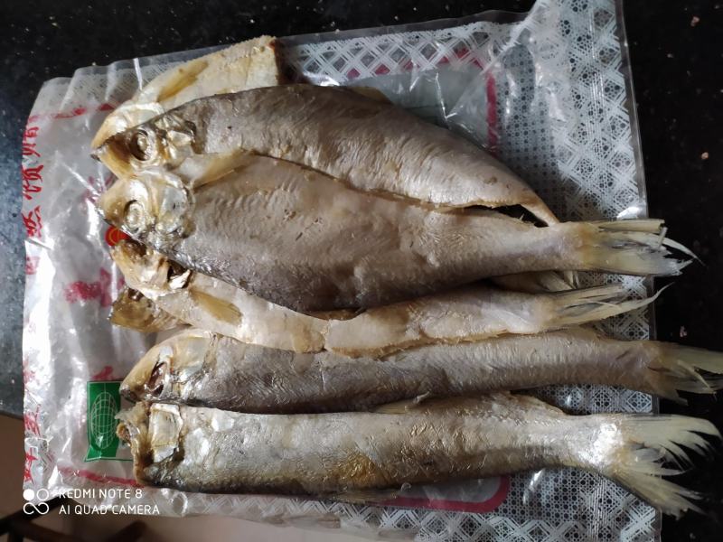 【产地】白磷鱼咸鱼咸鱼咸香鱼清蒸鱼腌制海鱼海鲜包邮
