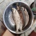 【产地】白磷鱼咸鱼咸鱼咸香鱼清蒸鱼腌制海鱼海鲜包邮