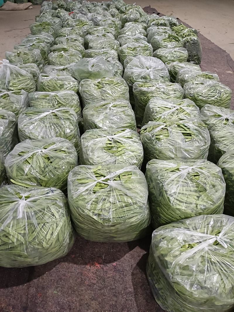 商河扁青芸豆，大扁豆，物优价廉，货源充足