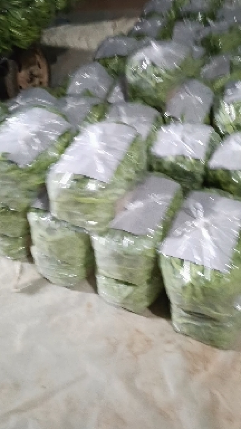 商河扁青芸豆，大扁豆，物优价廉，货源充足