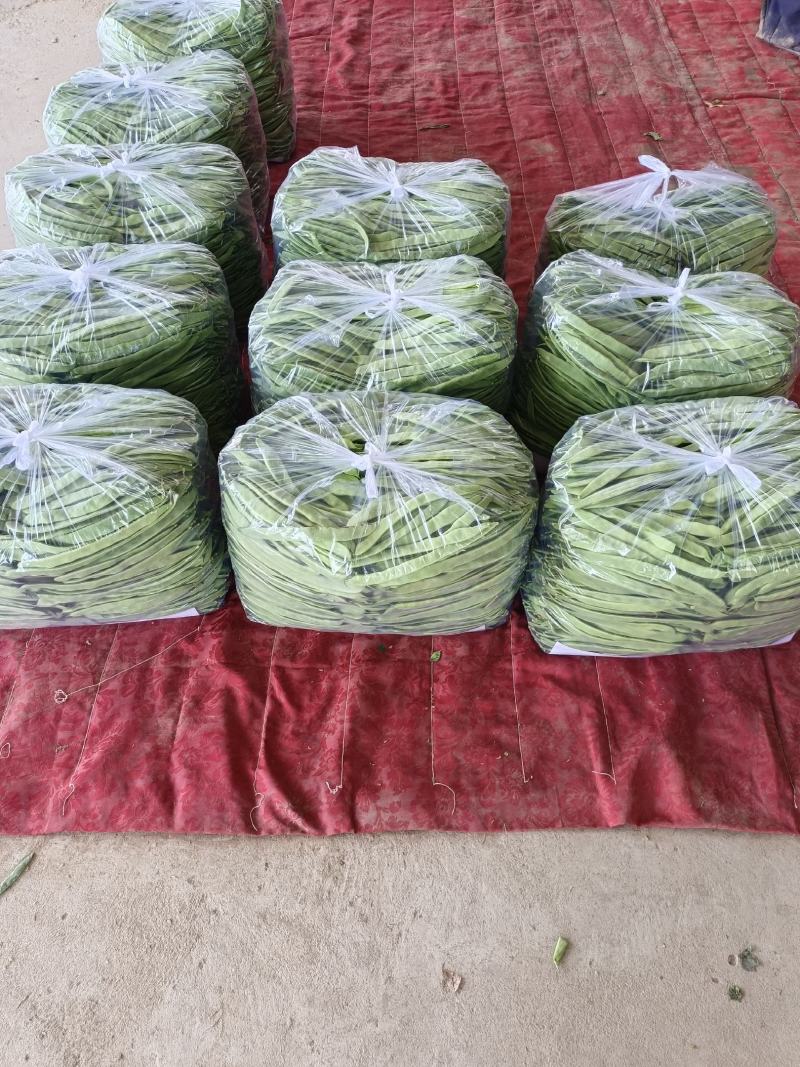 商河扁青芸豆，大扁豆，物优价廉，货源充足