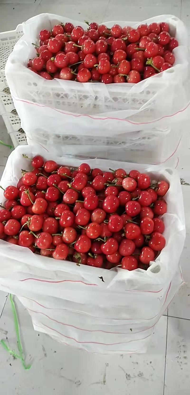 大红灯樱桃批发大棚樱桃大量上市品种多质量好产地一手货源