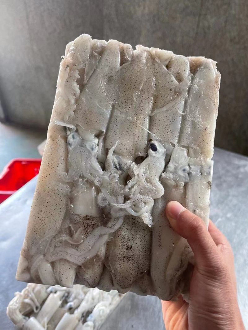 鱼增