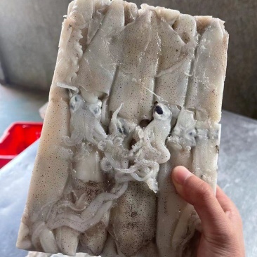 供货火锅店餐饮店，麻辣海鲜价格面议，支持看货！