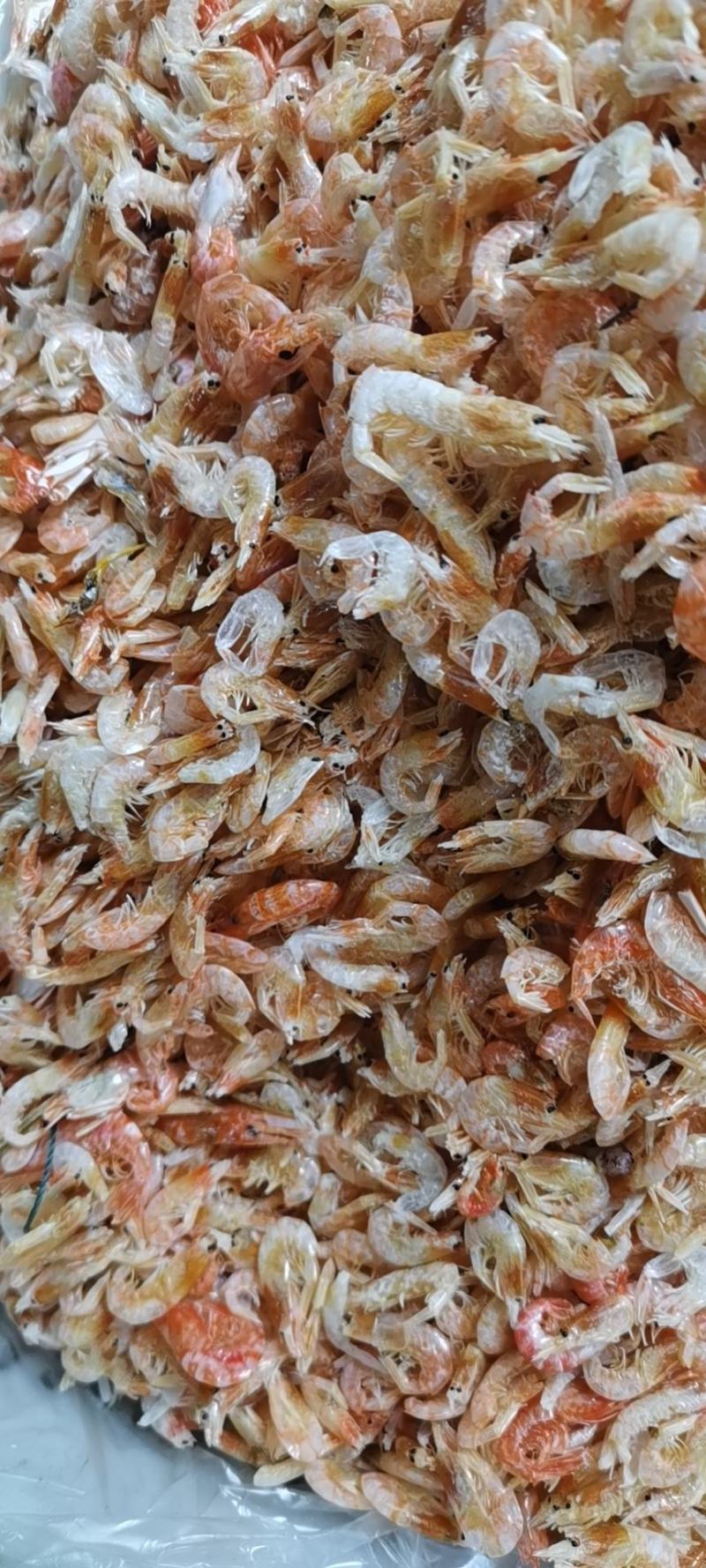 虾干麦秆虾。干度好。颜色好