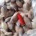 红腊鱼饲料鱼18.5下盘薄膜袋包装