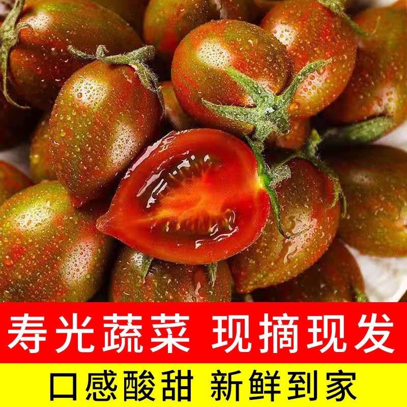 【小番茄】迷彩小番茄产地直发酸甜多汁欢迎采购