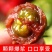 【小番茄】迷彩小番茄产地直发酸甜多汁欢迎采购