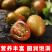 【小番茄】迷彩小番茄产地直发酸甜多汁欢迎采购