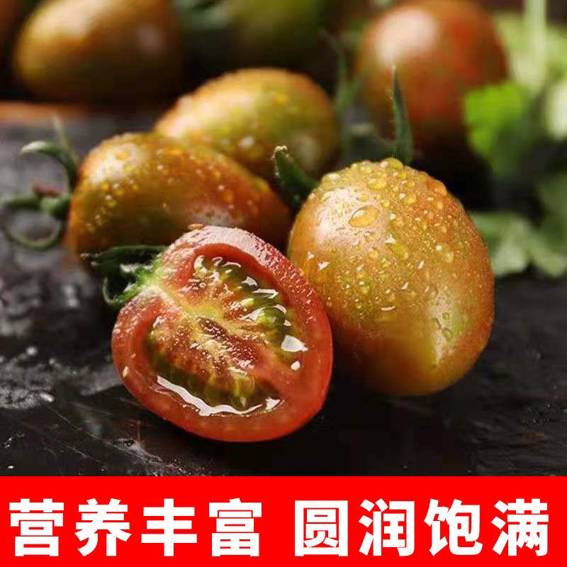 【小番茄】迷彩小番茄产地直发酸甜多汁欢迎采购