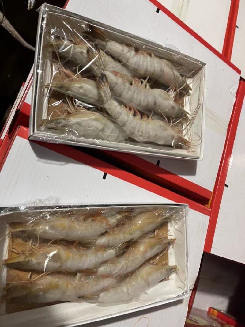 海捕对虾