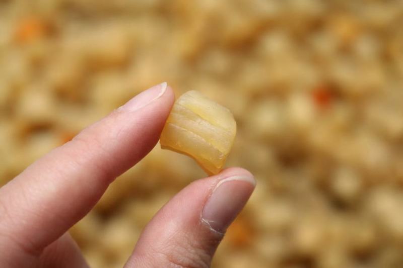 广州人A厂300头大连干贝