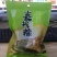 嘉兴肉粽大量现货，味道好极了