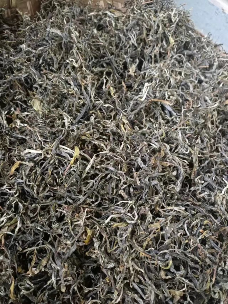 普洱茶古树茶大树茶单株茶绿茶汤色金亮回味无穷