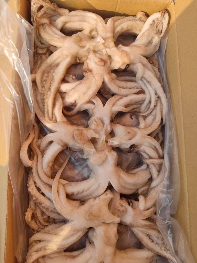 机洗头鱿鱼系列常年售卖冷链发货质量保障