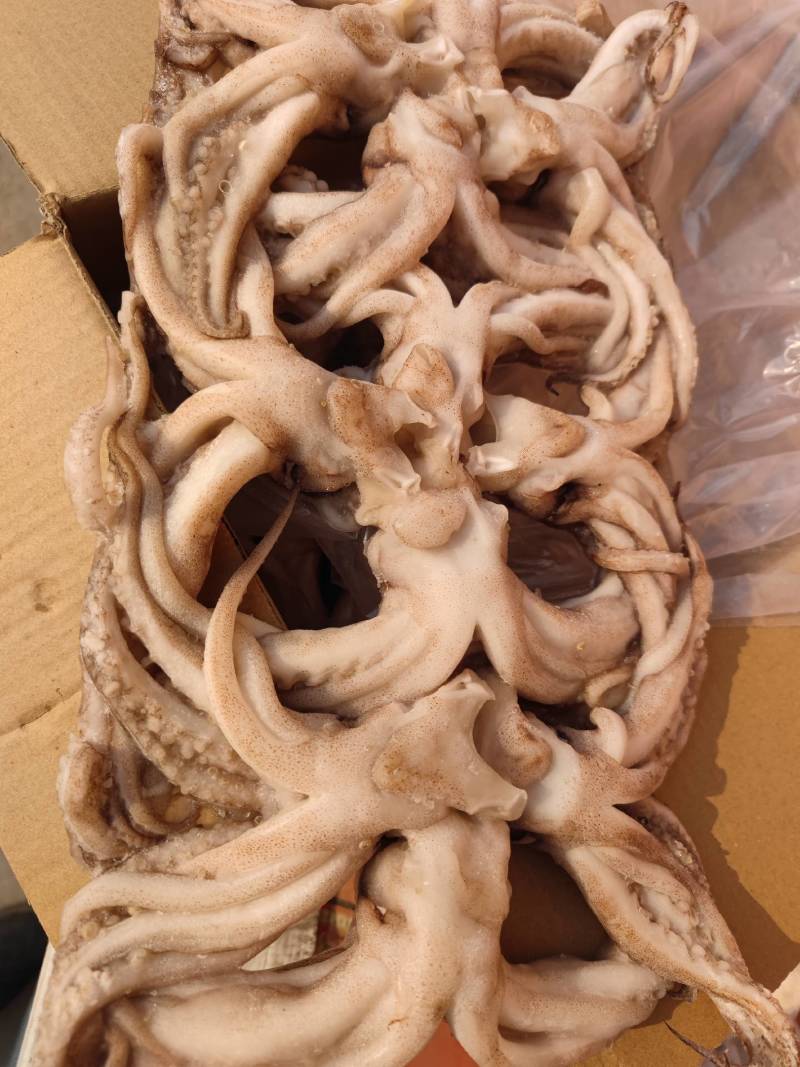 机洗头鱿鱼系列常年售卖冷链发货质量保障