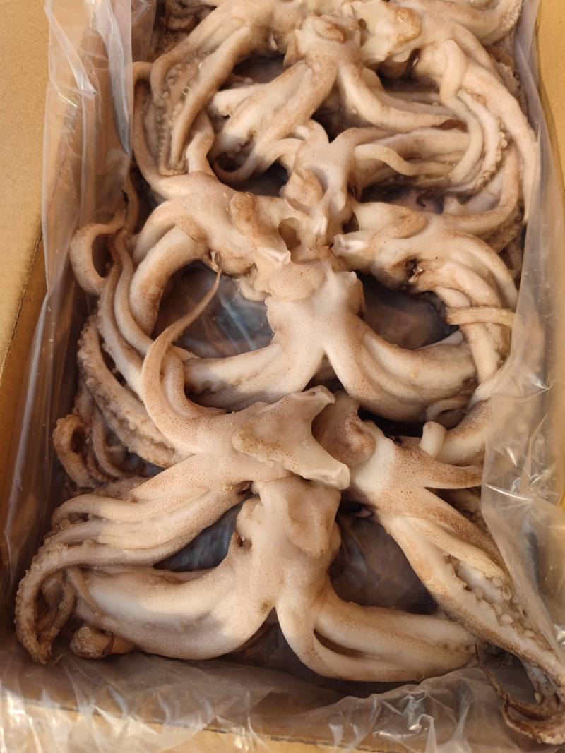 机洗头鱿鱼系列常年售卖冷链发货质量保障