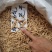 纯无硫+天然清香~精选大粒麦冬，超干味浓，价还平【产地】