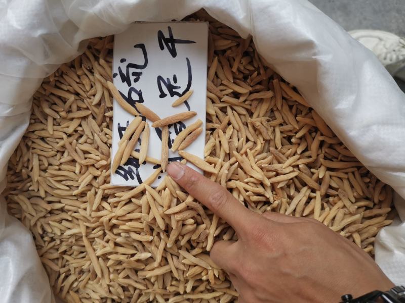 纯无硫+天然清香~精选大粒麦冬，超干味浓，价还平【产地】