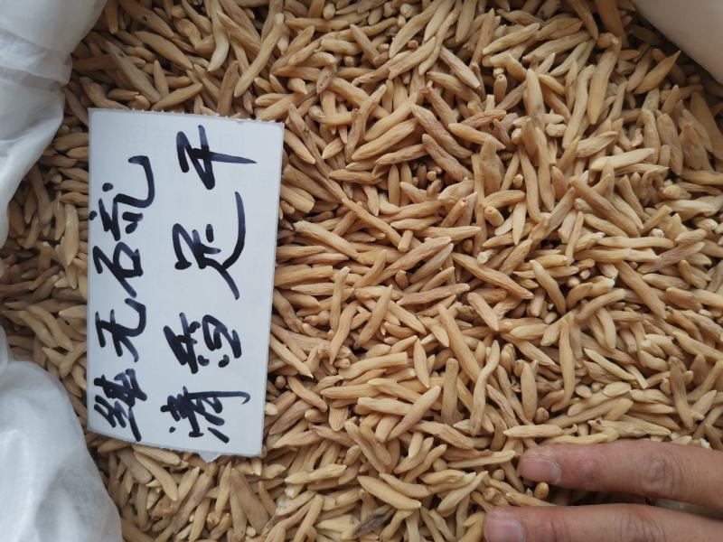 纯无硫+天然清香~精选大粒麦冬，超干味浓，价还平【产地】