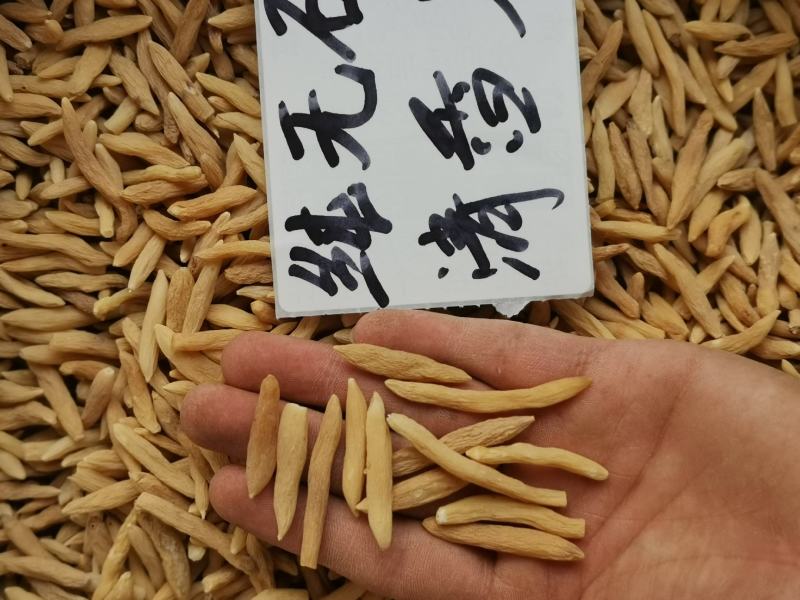 纯无硫+天然清香~精选大粒麦冬，超干味浓，价还平【产地】