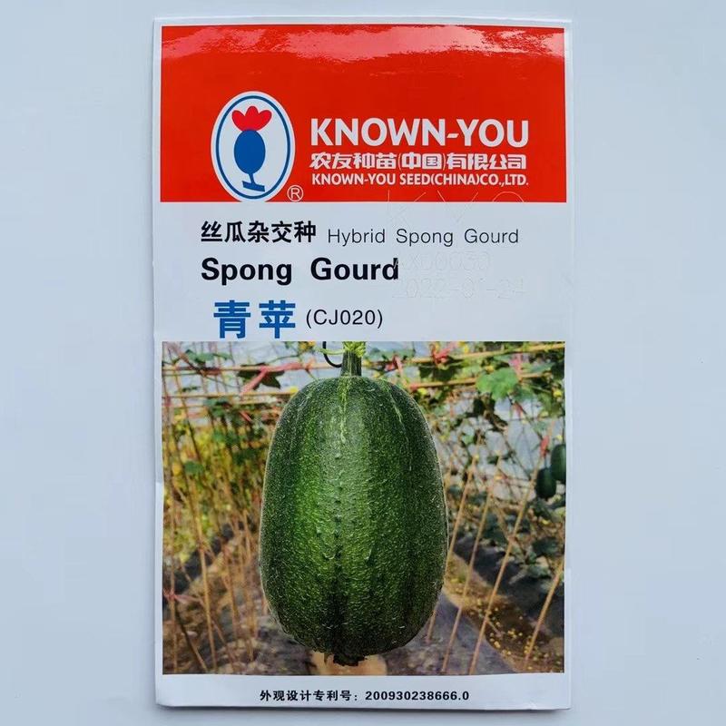 农友台湾苹果丝瓜种子高产早生50天采收原装发货10克