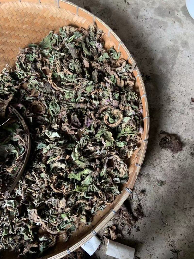 岩白菜干货野生岩白菜