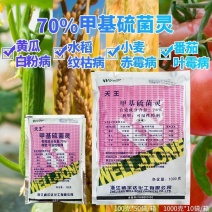（威尔达天王）70%甲基硫菌灵白粉病纹枯赤霉黑斑病杀菌剂