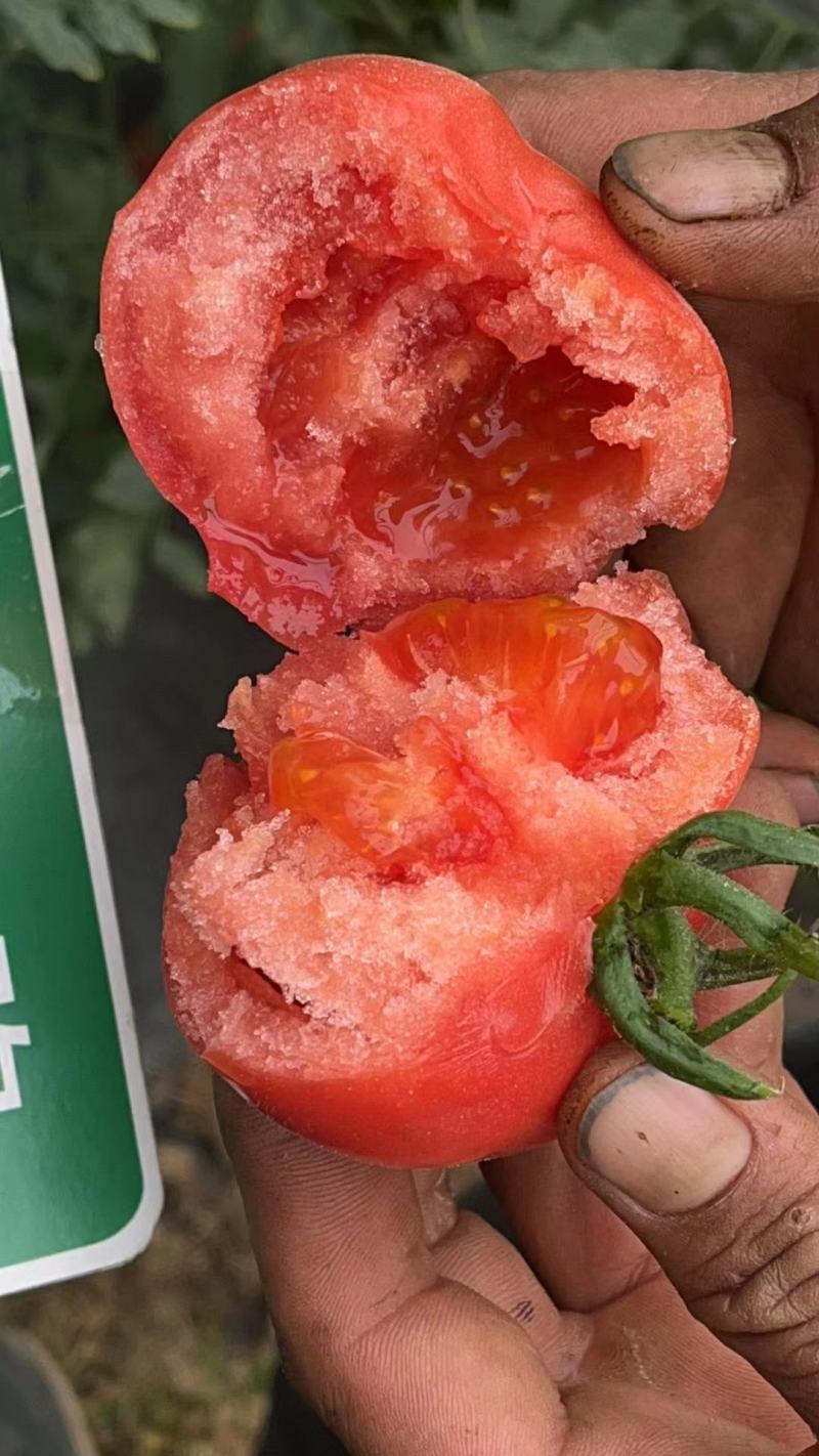 辣椒，圆椒，西红柿，