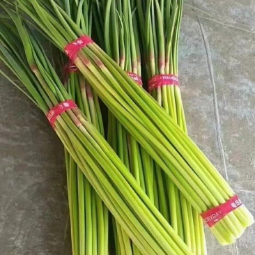羊后腿