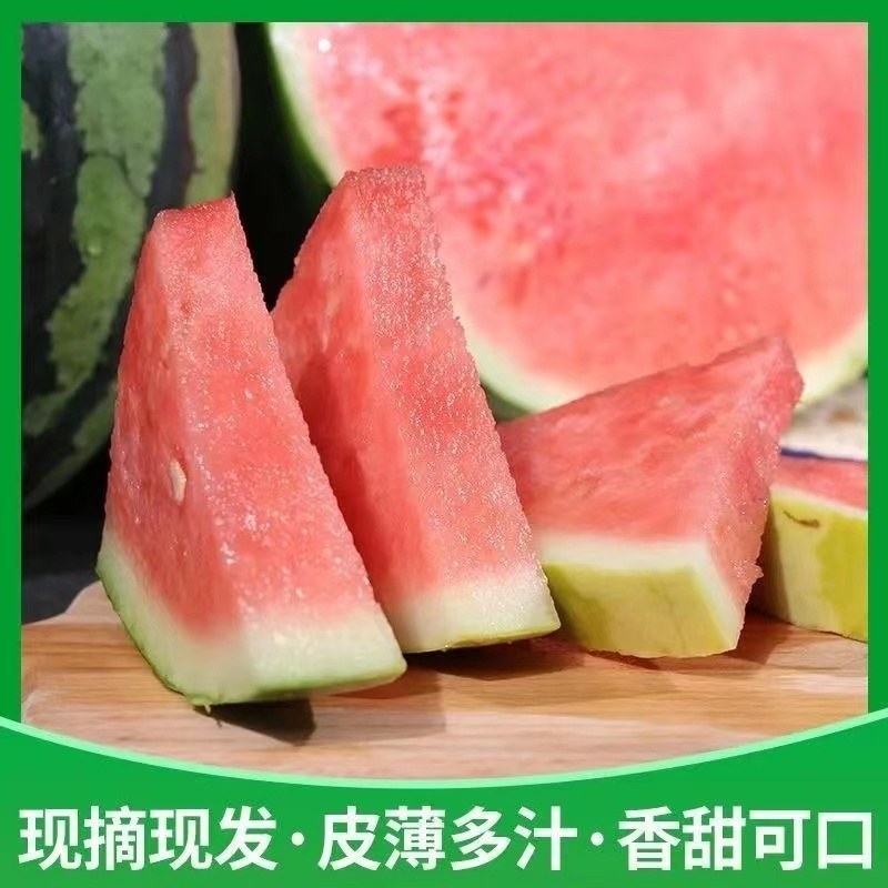 西瓜8424大量上市品质保证，包熟包甜，一手货源老代办