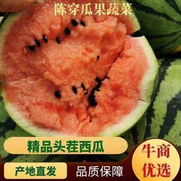 雷州大棚大黑籽精品美都西瓜，浙江人种植，熟度好甜度高