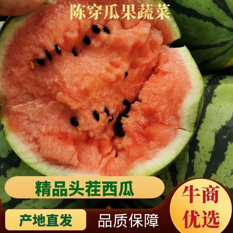 雷州大棚大黑籽精品美都西瓜，浙江人种植，熟度好甜度高