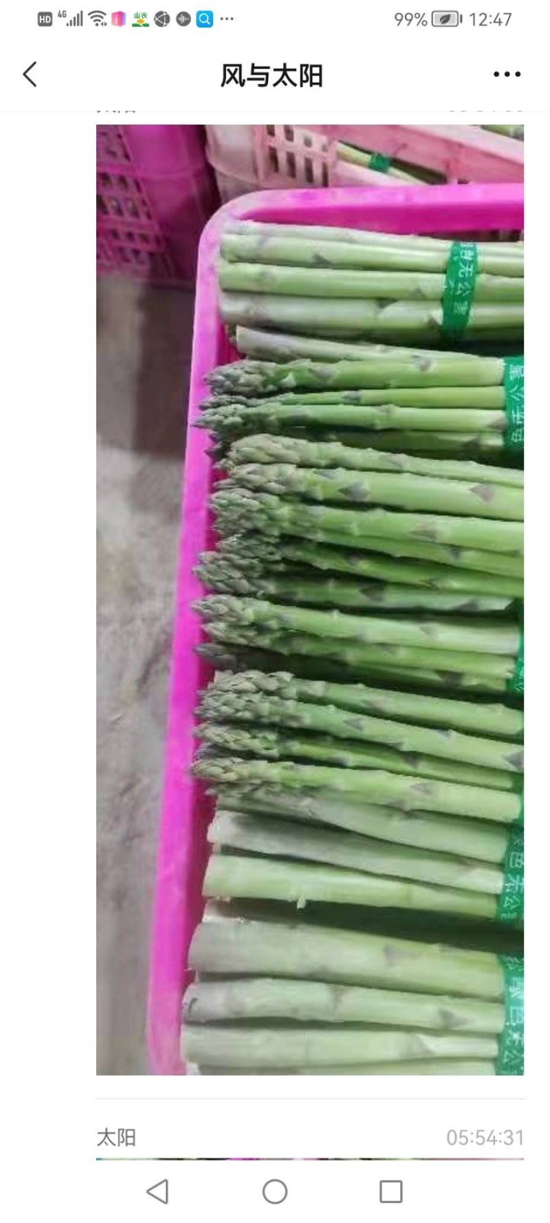 芦笋一白芦笋青芦笋长三十历来，