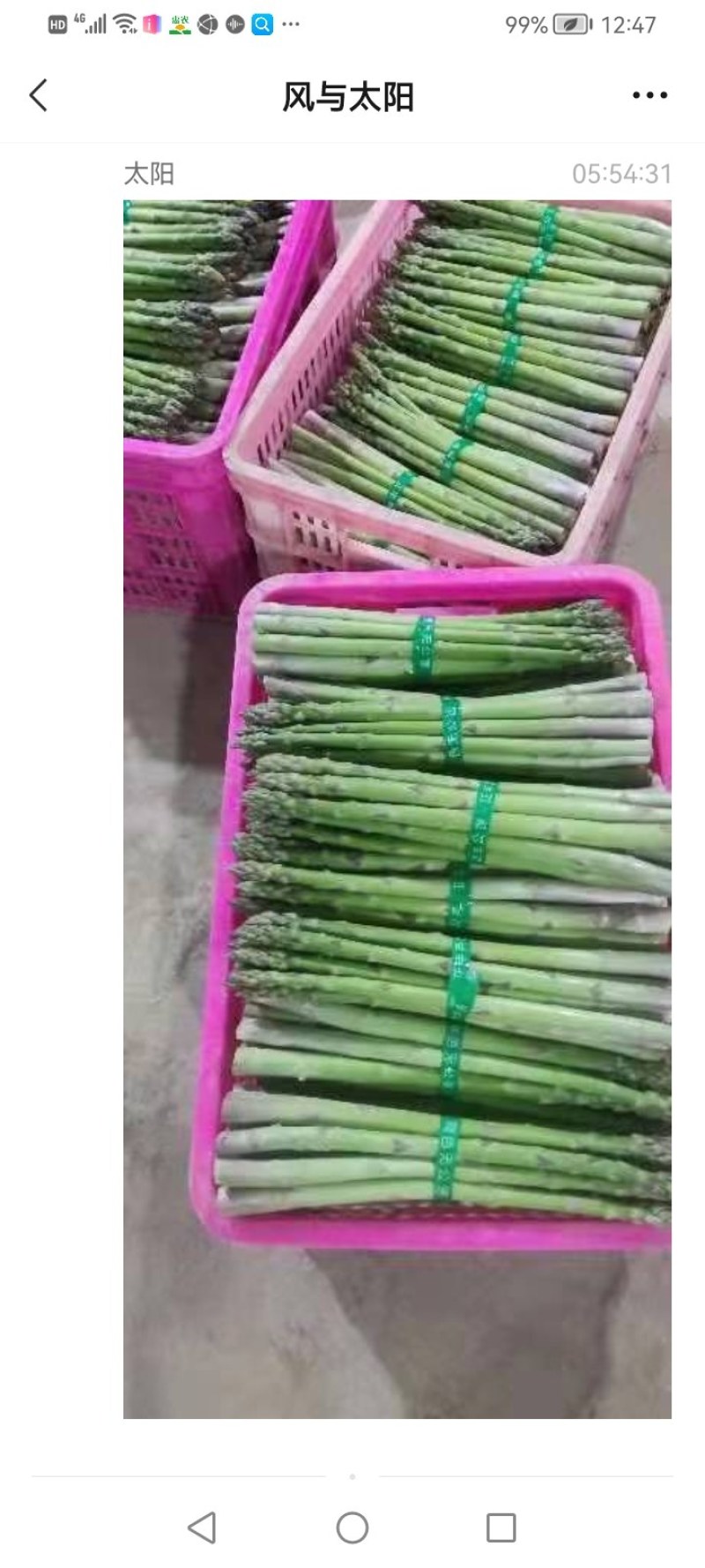 芦笋一白芦笋青芦笋长三十历来，
