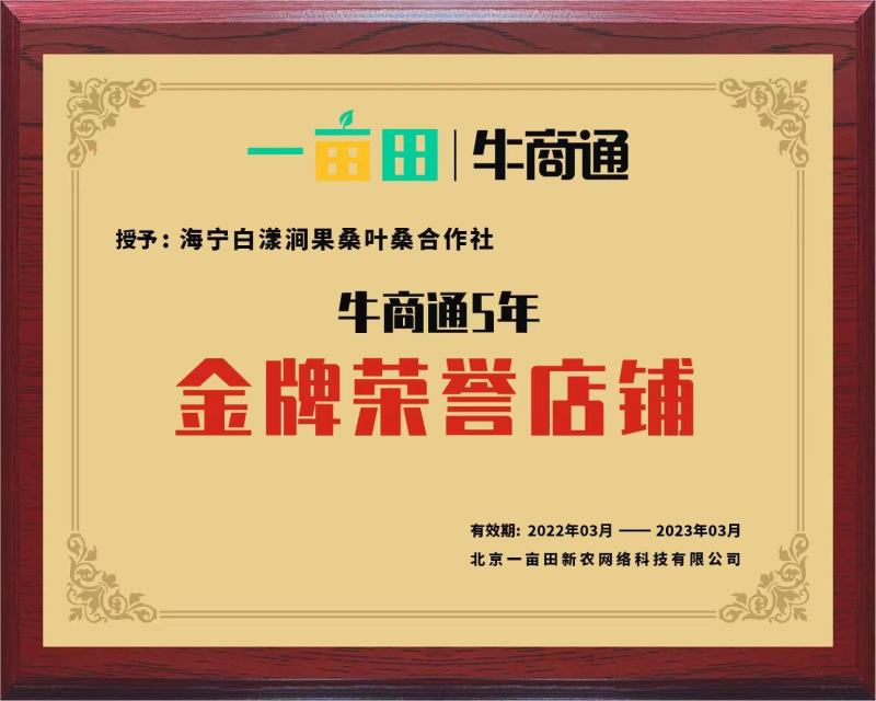 桑葚苗无籽大十果桑香金葚新品白长果桑奶油味口感甜